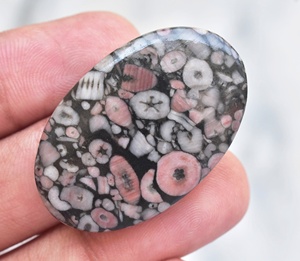 Natural Cindrol Fossil Coral Gemstone Semi Precious Cindrol Fossil Loose Gemstone For Jewelry - Product Image 2