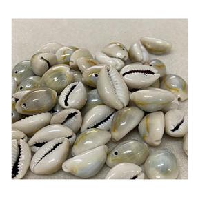 Perles de coquillage de mer naturelles en tranches, sans trou, en vrac dans le paquet pour la fabrication de bijoux de bricolage, accessoire 99GD, offre spéciale - Product Image 4