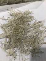 Anchois séchés / Anchois bébés séchés 2-3 cm Haute Qualité du Vietnam -- W/S: 0084 989 322 607