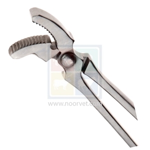 Pneu de cheval d'instrument vétérinaire de 14 \ "avec les outils de maréchal-ferrant de mâchoires incurvées pour le clou de chaussure de cheval pour l'usage vétérinaire - Product Image 1