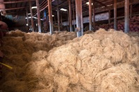 Fiber de coco en noix de coco naturelle, Vdelta, Fiber en coco/Ms, bura: 84 918 509071