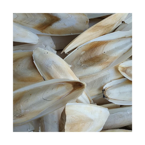 Arêtes de seiche minéral, os pour vos oiseaux et reptiles, riche en minéraux et en Calcium - Product Image 3