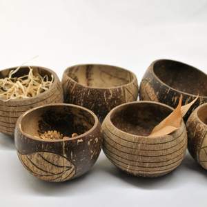 Vente en gros de bols de smoothie à la noix de coco sculptés jetables biodégradables et durables pour un usage alimentaire commercial à faible coût - Product Image 6