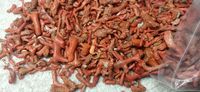 Pierre précieuse polie brute de corail rouge italien naturel Quantité en vrac de qualité supérieure disponible