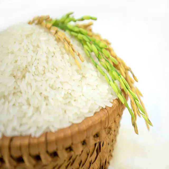 זול מחיר 5% שבור וייטנאם יסמין אורז/ארוך תבואה אורז