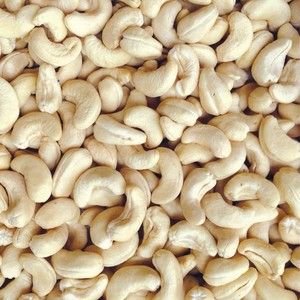 Nueces de Anacardo Crudas Orgánicas y Procesadas, Grado Premium AA, Certificación ISO HACCP, W320 y W2440 - Product Image 6