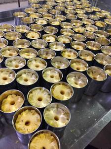 Canned Pineapple With Syrup/ Natural Canned Pineapple With High Quality for Export <b>Ms</b>.Lucy +84 929 397 651 - Product Image 4