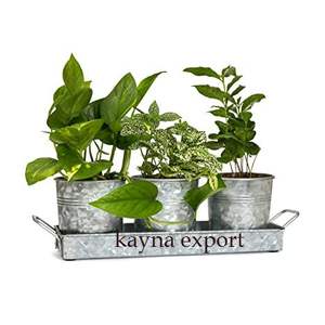 กระถางโลหะชุบสังกะสีพร้อมถาดสำหรับตกแต่งสวนในบ้านอุปกรณ์ตกแต่งโต๊ะดีไซน์ที่ไม่เหมือนใคร - Product Image 1