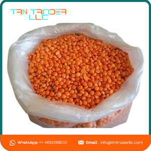 Excellente qualité de haricots Masoor entiers séchés biologiques en vrac provenant d'un fournisseur fiable - Product Image 4