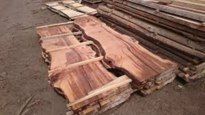 Planches de chêne blanc de bois de chauffage hêtre frêne chêne LTD. BULGARIE - Product Image 4