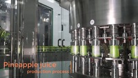 Boisson de jus d'ananas 330ml , 100% naturel, pressé à froid, pasteurisé, service OEM, en conserve, fournisseurs, fruits tropicaux, Prem