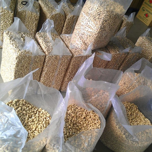 High Quality CASHEW NUTS WW240/W320 Kernel Processing Machines Organic Raw & Roasted Cultivation Great Price Vietnamese Supplier - Product Image 3