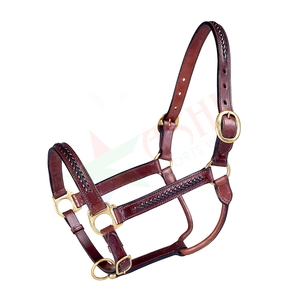 Arnés para Caballo AS-201 de Ashi Sports Wear, de Cuero Genuino Marrón de Alta Calidad, Acolchado Suave, Hebillas de Latón, Acolchado de Lana, Personalizable - Product Image 1