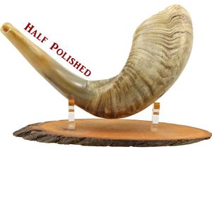 Artisanat naturel de Shofar de corne de bélier demi-poli exquis pour un style religieux - Product Image 1