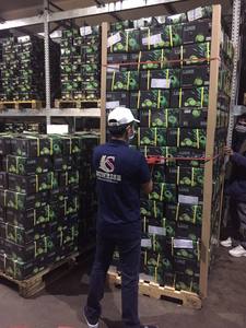 มะนาวเวียดนามสดไร้เมล็ด / ผลไม้กรีนซีร์คัส / มะนาวเขียวสดไร้เมล็ด +84986778999 เดวิด - Product Image 3