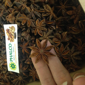 AUTUMN STAR ANISE - FACTORY PRICE SPICES STAR ANISE FOR SALE - Product Image 1