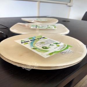 100% bols en feuilles de palmier organiques naturels Areca plats et assiettes de camping jetables écologiques avec motif de plante gravé - Product Image 5