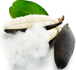 Fibre de Kapok 100% Naturelle et Légère - Bon Produit - Haute Qualité au Vietnam - Product Image 1