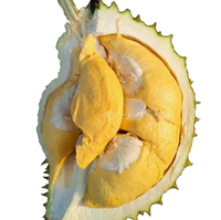 Groothandel Vietnam Verse Monthong Durian Premium Kwaliteit Geel Vlees ISO Gecertificeerd Rechtstreeks Van De Producent