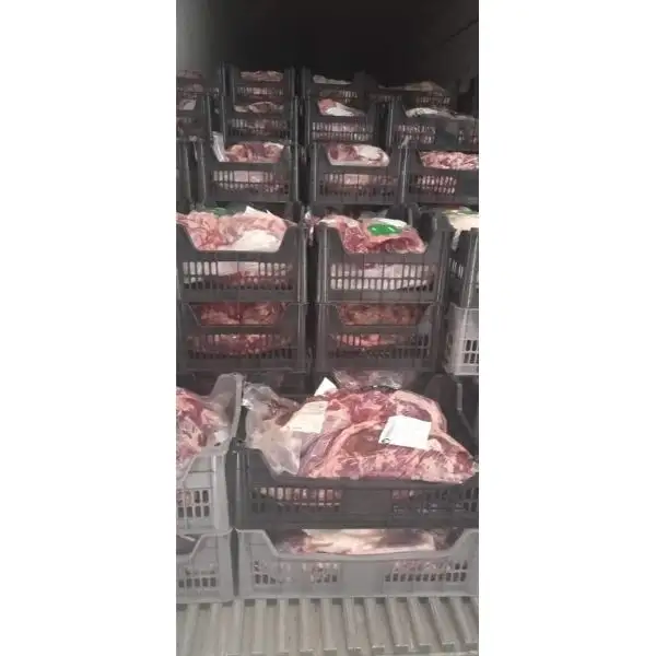 Carne Halal di alta qualità/carne Halal disossata certificata di mucca di bufalo disponibile per l'esportazione