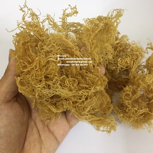 White Eucheuma Cottonni for the <b>UK</b> & <b>UK</b> Market with High Quality/<b>Sea</b> <b>Moss</b> with Salt/ Ms. Lily - Product Image 2