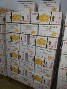 Jengibre fresco amarillo picante/WhatsApp: Ms.Pinky (+ 84) 35 9268 345 - Product Image 6