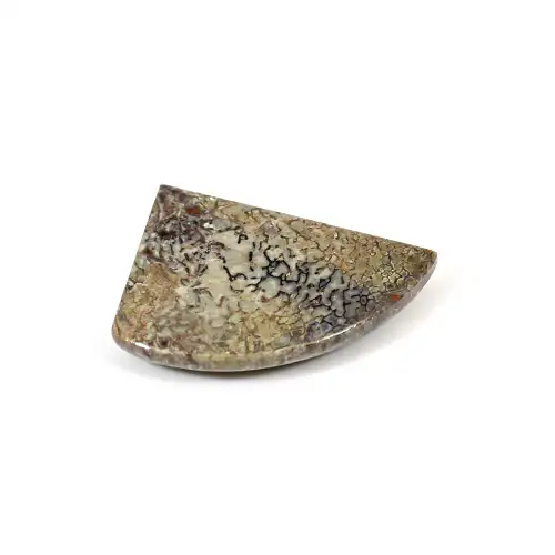 Tulang Dinosaurus Alami 25.75 Cts Mewah Cabochon 29X22Mm, Batu Permata Longgar Buatan Tangan untuk Perhiasan
