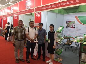 Amidon de tapioca vietnamien de première qualité, amidon modifié, fabriqué au Vietnam et destiné au marché international - Product Image 5