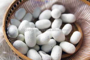 Capullo de gusano de seda Natural, Fibra de seda, capullo de seda de morera de Vietnam, (-+ 84777699587) - Product Image 2