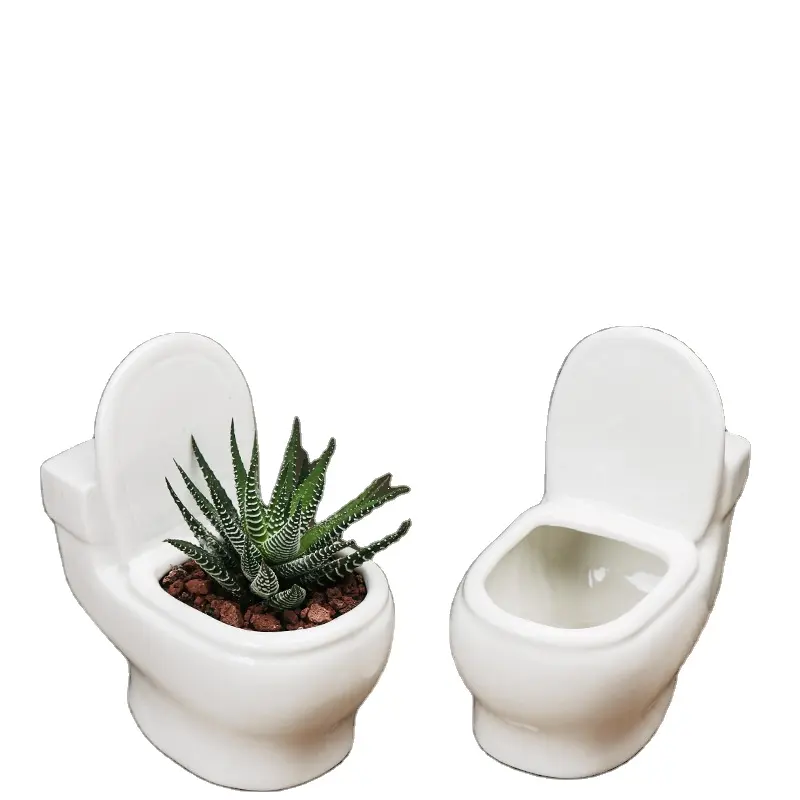 Cina vasi di piante vasi di fiori di Ceramica succulente wc stampi per vasi di fiori a buon mercato wc
