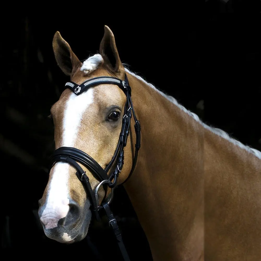 Melhor Qualidade-Americana Cabeçada-Hanoverian Cavalo Chicote De Couro de Vaca banda nariz Acolchoado-V-Forma Sobrancelha-banda