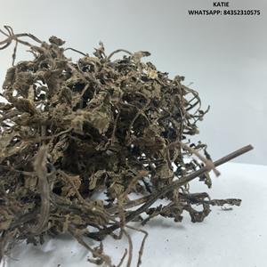 Hojas de Gelatina de Hierba Negra Secas de Alta Calidad/ Palitos de Gelatina de Hierba/ Mesona Chinensis Listos para Enviar/ Ámbar +84383004939 - Product Image 2