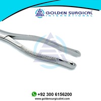 Forceps d'extraction dentaire GOLDEN Incisor en acier inoxydable, instruments dentaires équins, pince à dents pour chevaux GSIB-100220