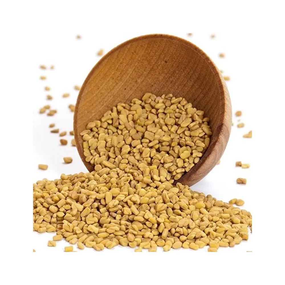 Hot Selling Certified Quality Best Healthcare Fenugreek Seeds For Weight Loose Buy At Low Price