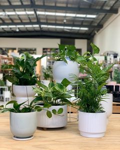 Jardinières d'arbres d'extérieur modernes en terrazzo cube de quatre pièces Kits de propagateurs géants avec des motifs chauds Pots de fleurs fonctionnant pour le jardin et la maison - Product Image 6