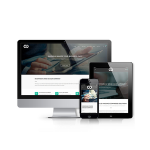 การพัฒนาซอฟต์แวร์ออกแบบเว็บแฟลชที่ดีที่สุดสำหรับอเมริกาเหนือ | บริการออกแบบเว็บไซต์ Flash ที่ได้รับรางวัลโดย Webroot Infosoft - Product Image 3