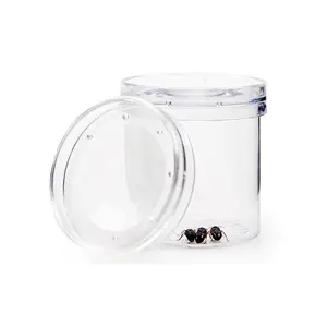 Insect Container Observation Magnifying Mirror