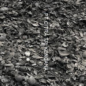 INDUSTRIAL COCONUT SHELL CHARCOAL CARBON ACTIVATED bamboo charcoal air purifying Bag Paper Chemical IN Sao Miguel Paulista BRAZI - Product Image 5