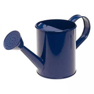 Arrosoir automatique de haute qualité en métal, Pot d'arrosage décoratif pour la maison et le jardin, finition chromée avec pichet bleu - Product Image 2