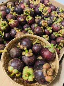 Mangostán Fresco de Primera Calidad, 5-10 kg, Empacado en Caja de Cartón, Sra. Laura +84 896611913, de Vietnam, Listo para Comer - Product Image 3