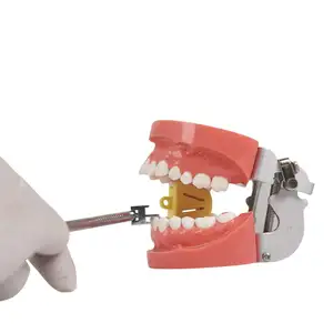 bracket height gauge movable head orthodontic instruments position gauge dental lab measuring dental instruments by UAMED LTD