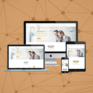 Flowless Bug Free Custom Website Design & <b>Development</b> Company | Award Winning Website <b>Development</b> Services by Webroot Infosoft - Product Image 3