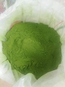 ใบมะรุมสีเขียวขาย - Product Image 5