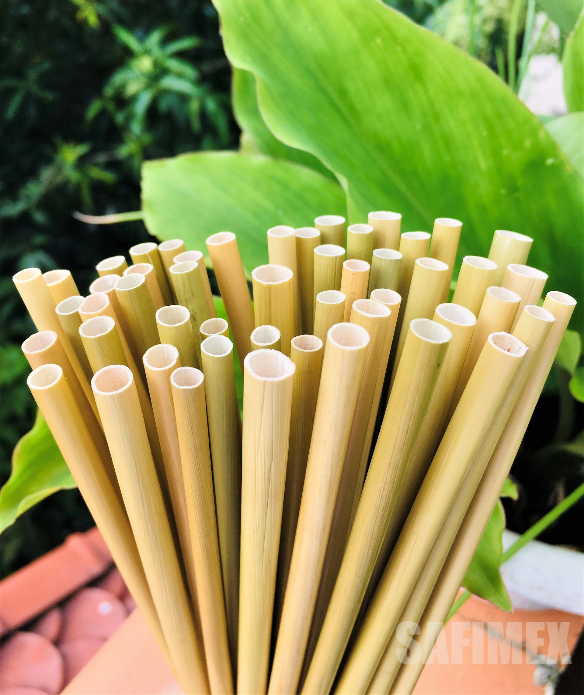 Dried grass straws disposable in Vietnam with biodegradable packaging