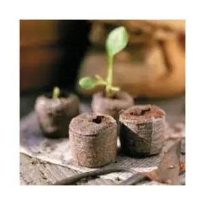 Top Selling cocopeat coir disc Coco peat pellets By Supplier 99 Gold Data