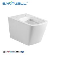 Salle de bains chinoise de grande qualité Nouveau design WC sans rebord Cuvette de toilette suspendue au mur avec réservoir d'eau dissimulé