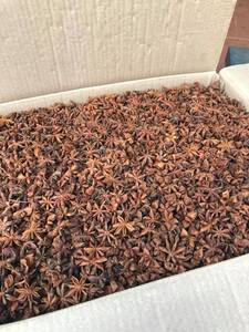 Anis étoilé séché, fleurs brisées, biologique, Vietnam, 1 kg, épice unique, couleur naturelle, pour assaisonnement, Ms Mirabel - Product Image 3