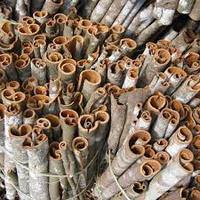 Bâton de cannelle de haute qualité / Poudre de cannelle ou cassée, huile / cigarette, cannelle fendue du Vietnam / Shyn Tran +84382089109