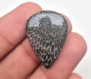 หินฟอสซิลหินกระเบน Cabochon,หินฟอสซิลสีดำ Cabochon - Product Image 5