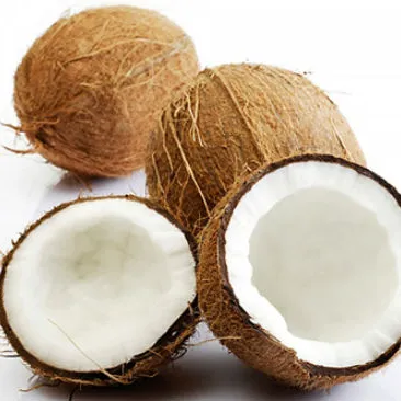 NATURAL DRIED COCONUT WITH THE BEST PRICE